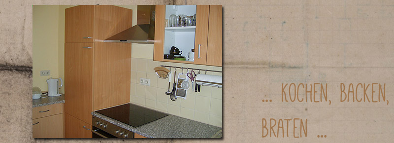 Ein moderner Herd zum kochen, backen oder braten.