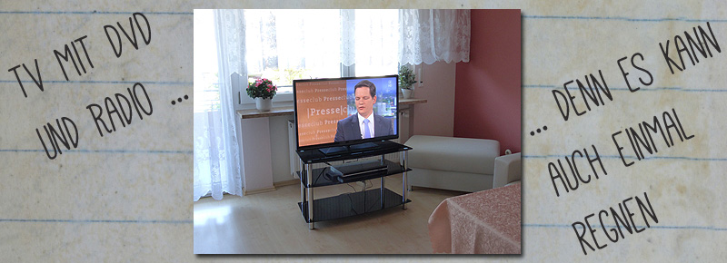 Das Fernsehgerät mit DVD Player.